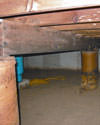 Mold and rot thriving in a dirt floor crawl space in Billings