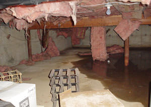 Fiberglass dripping off of the ceilings of a Lewistown crawl space