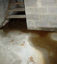 Flooding floor cracks by a hatchway door in Fromberg