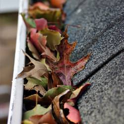 Clogged gutters filled with fall leaves  in Stanford