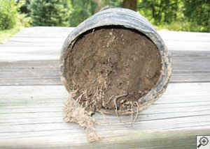 clogged french drain found in Fromberg, Montana