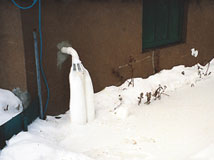 IceGuard® Installed Laurel